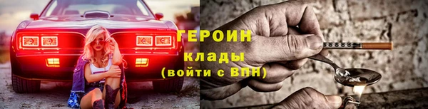 индика Вяземский
