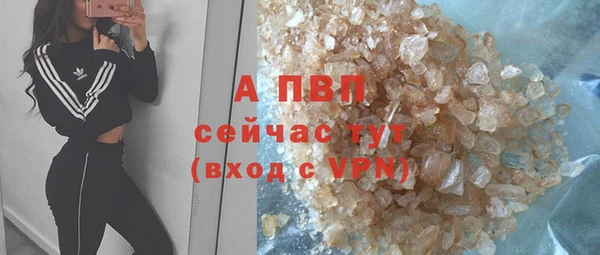 стафф Баксан