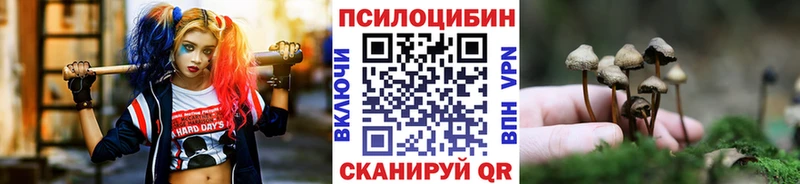 Псилоцибиновые грибы Psilocybe купить наркотики цена Белогорск